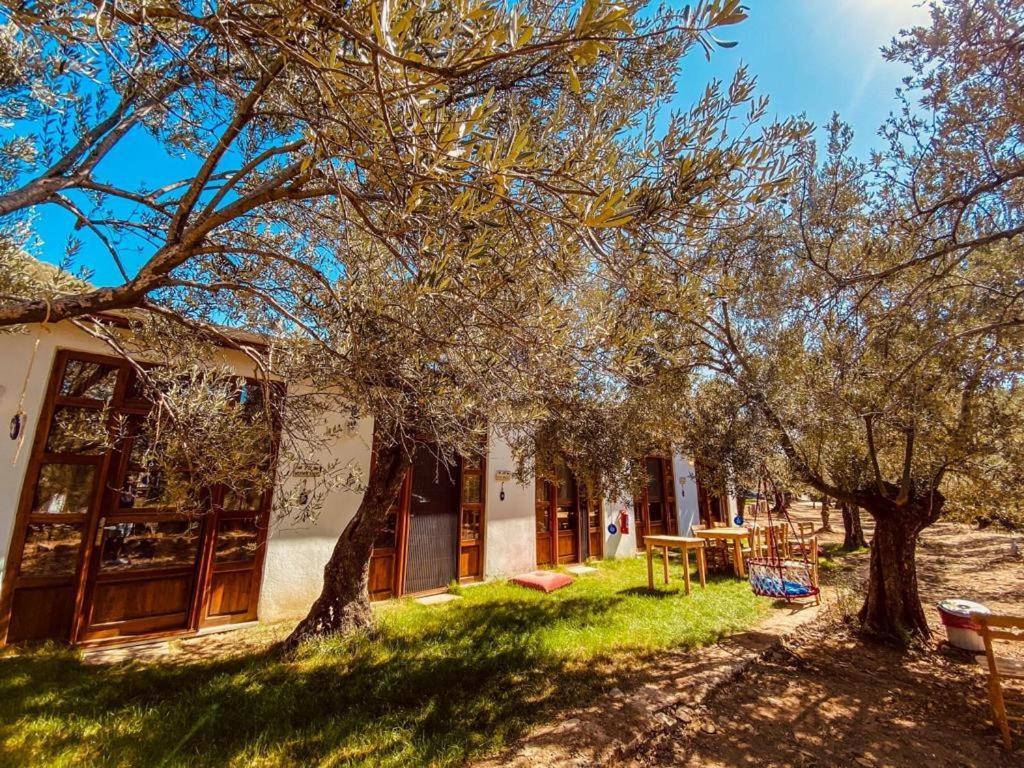 Yiva Kazdaglari Hotel Mehmetalani Kültér fotó